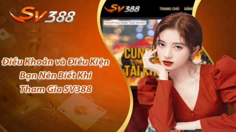 Điều khoản và điều kiện